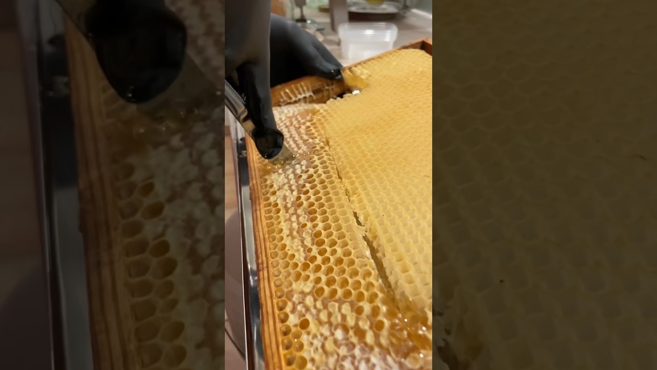 🐝Honigwabe in Kleine Stücke schneiden? 🤔
