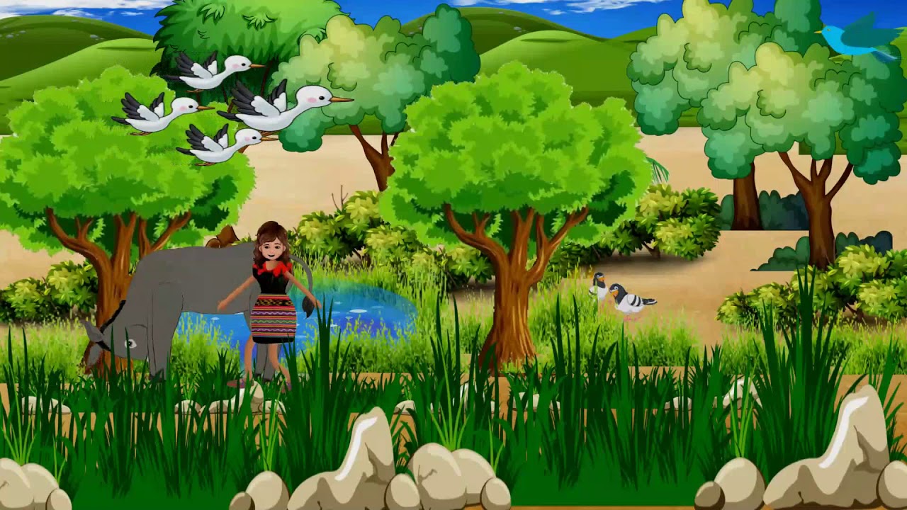 Video Animasaun  Timor Leste by KNUA KREATIVO