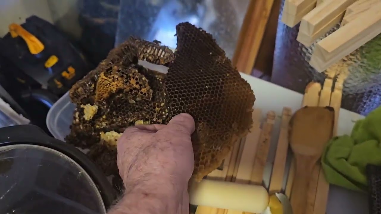 How to get your bee's to draw out more comb !