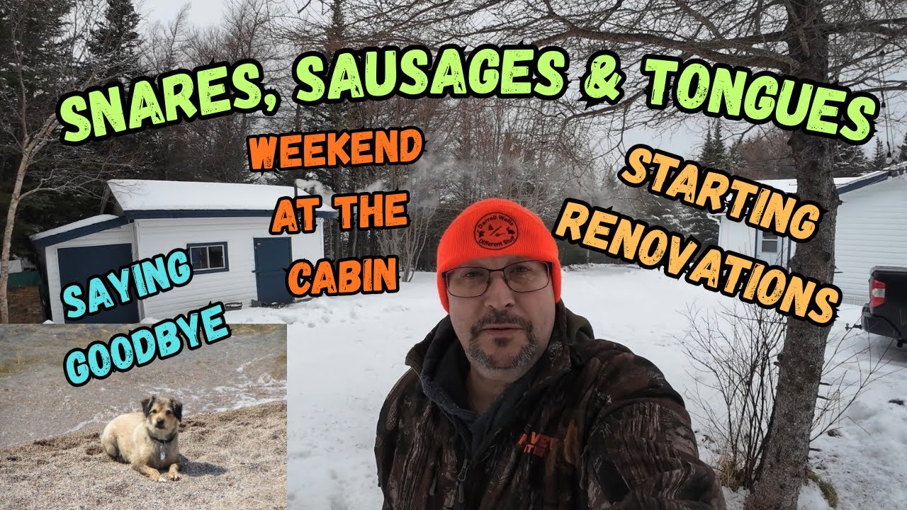 Newfoundland Cabin-Rabbit Pound-New Shed Lights-Traditional Scoff-Saying Goodbye to Our Buddy Cache