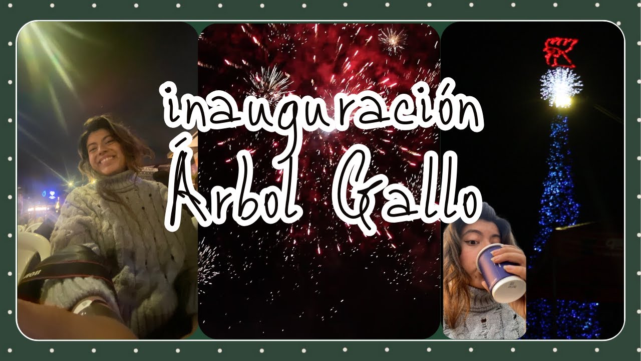Inauguración Árbol Gallo 🎄 | VLOGMAS ep2