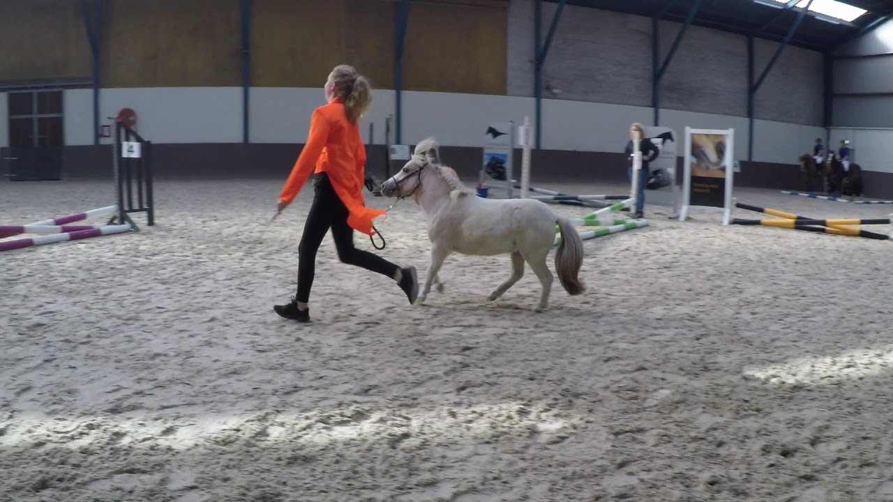 Prinses Maxima Manege- Een impressie van de open dag 2018
