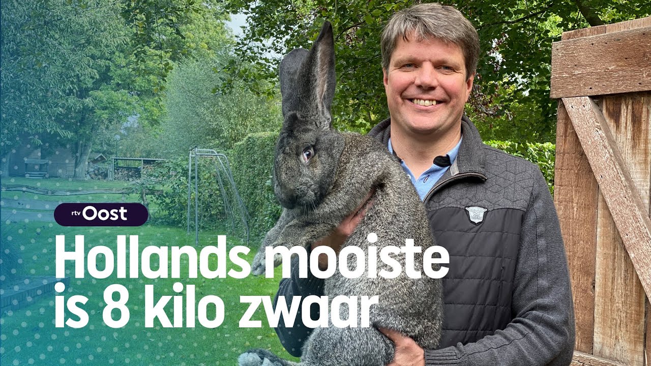 Vlaamse Reus: Bram fokt de beste van Nederland | RTV Oost