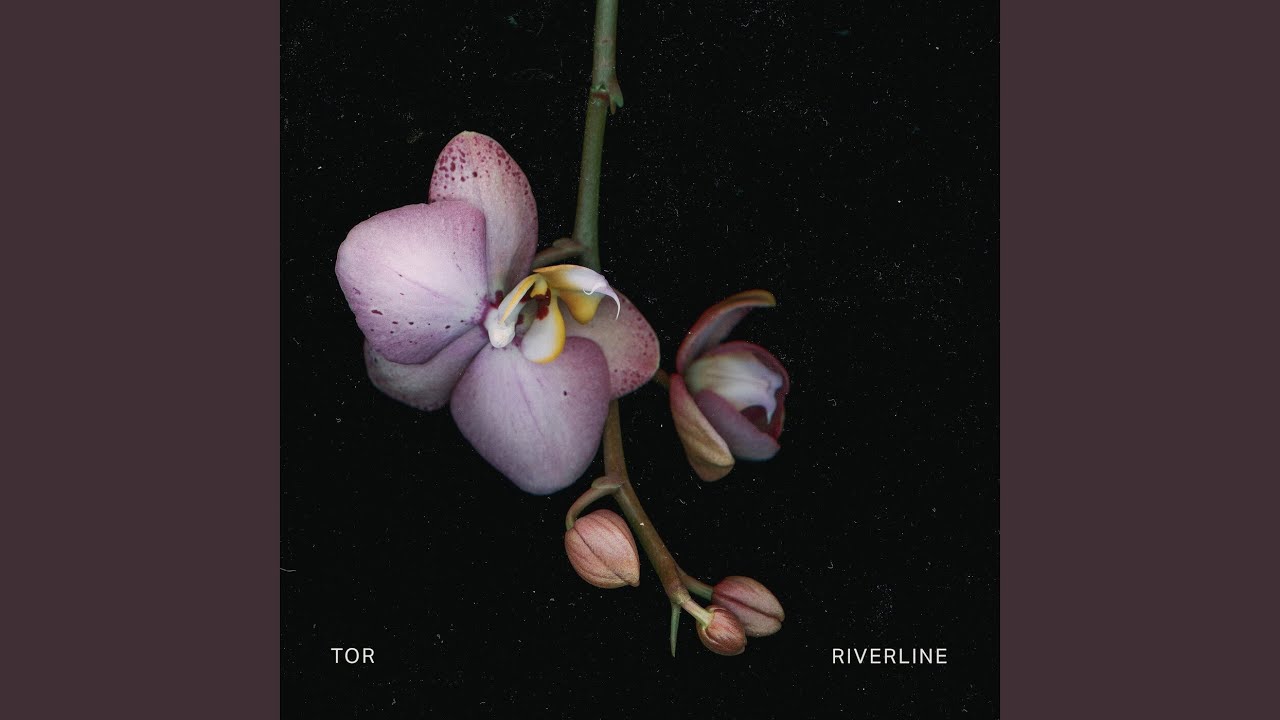 Foxglove