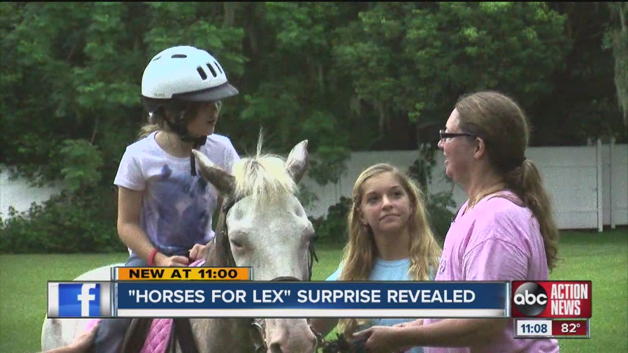 Horses for Lex: 7-year-old girl with cerebral palsy gets a big surprise
