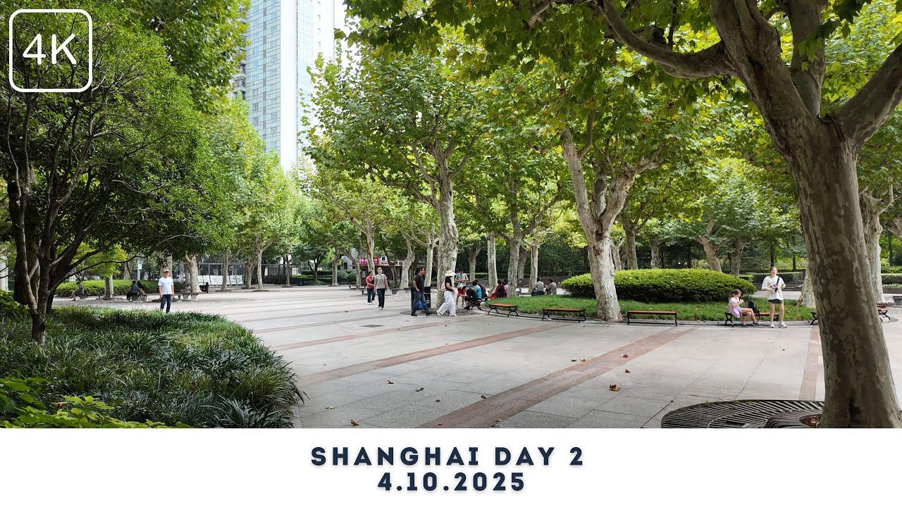 Shanghai Day 2  / #shanghai #travel #travelphotography #china #chinavlog #chinatown #shanghaiwalk