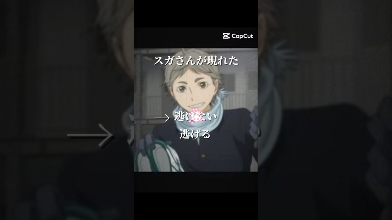 スガさん逃げないバージョン！お待たせしました！！#ハイキュー #haikyuu #推し #anime #オタク #妄想
