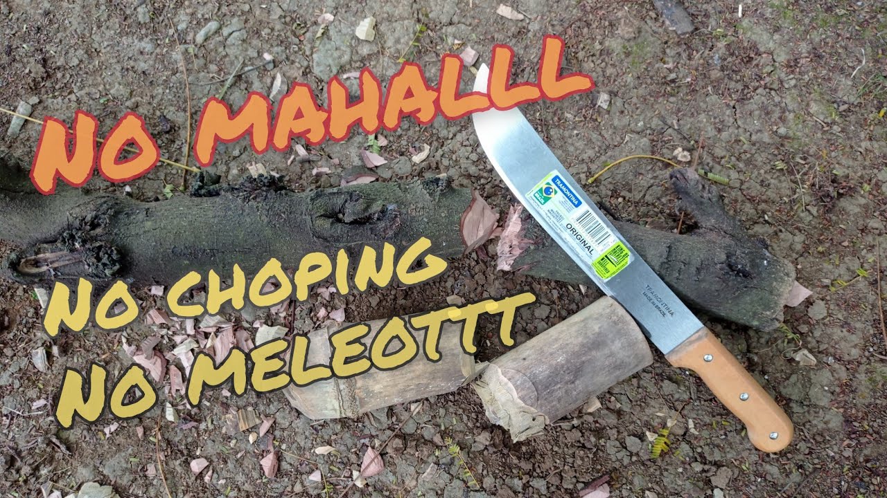 Review machete tramontina untuk tebas bambu & kayu kering !!