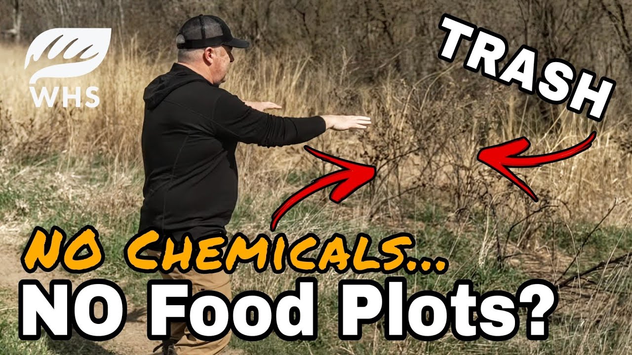 No Chemical Food Plots?