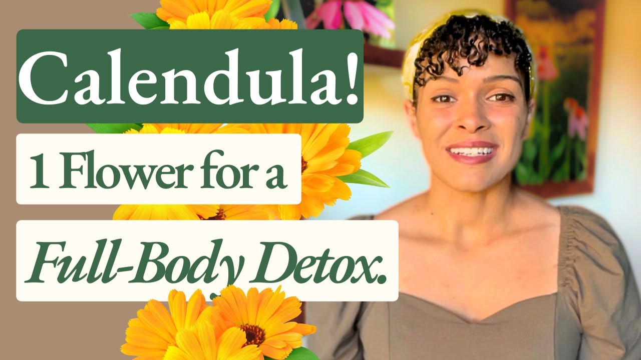 Calendula!  Health Benefits & Medicinal Uses