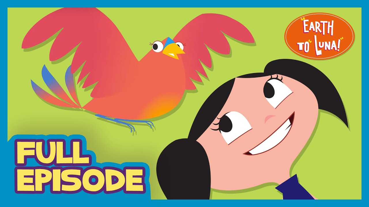 🟠 WINGS OF A BIRD 🍃🐦- Full Episode l Earth To Luna!