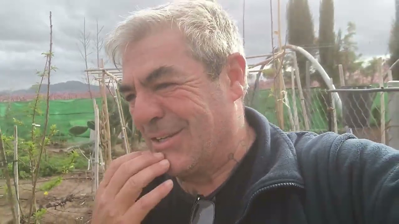 Quelato de hierro, cuanto, como y cuando aplicar a nuestros árboles frutales.