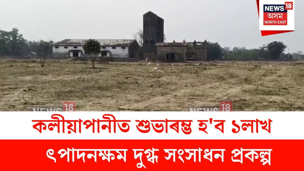 Teok News : কলীয়াপানীত শুভাৰম্ভ হ'ব ১লাখ উৎপাদনক্ষম দুগ্ধ সংসাধন প্ৰকল্প | N18V