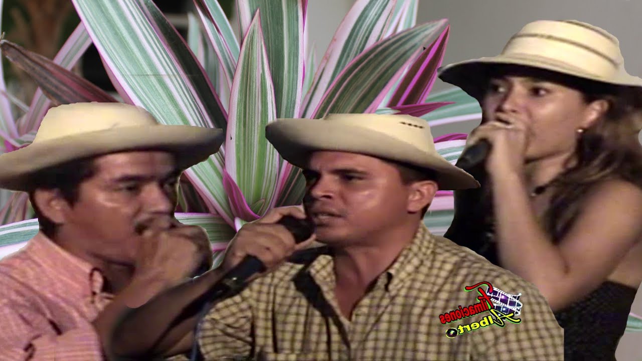 CONTROVERSIA ONLY NUÑEZ FIDEL CEDEÑO Y MELITZA QUIROS en Llanto y Gallino Picao