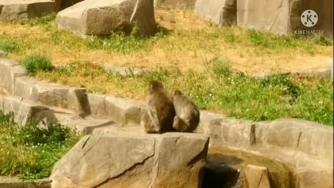 Milwaukee County Zoo Adventure