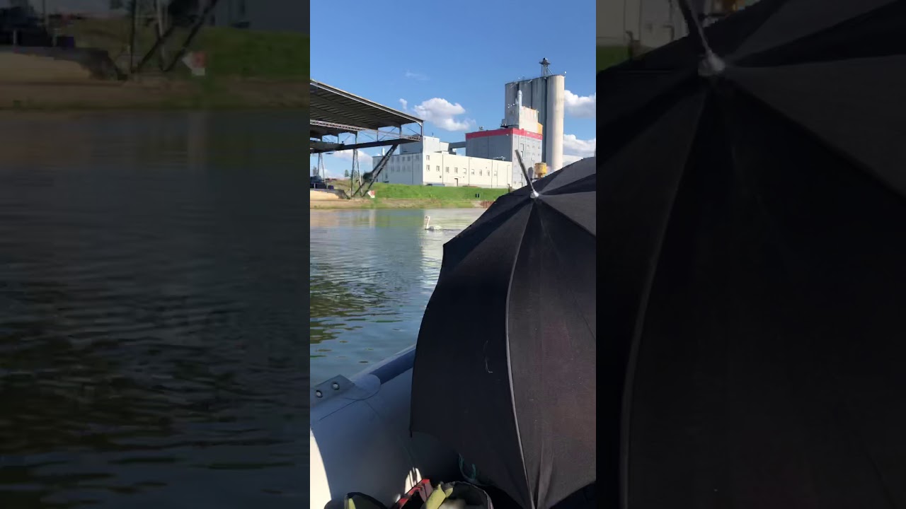 Neckar Heilbronn Bootstour