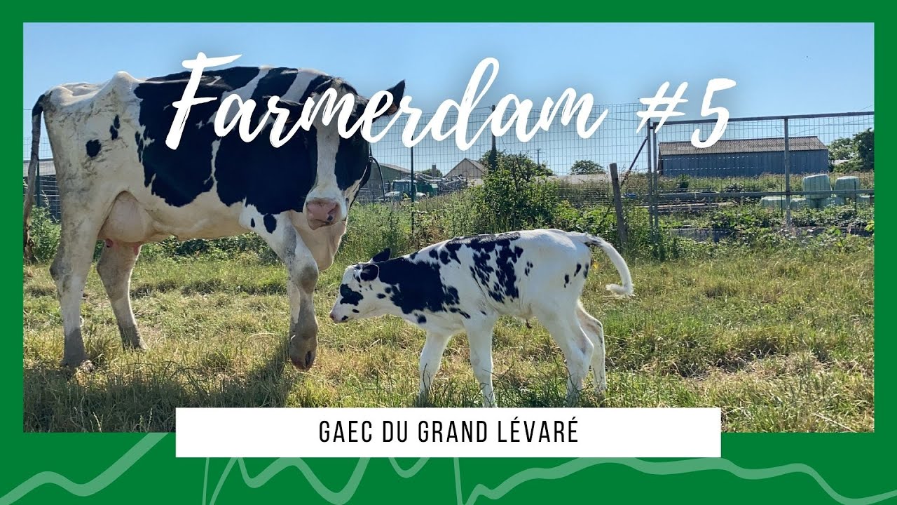 TERUG OP DE BOERDERIJ - FARMERDAM #05