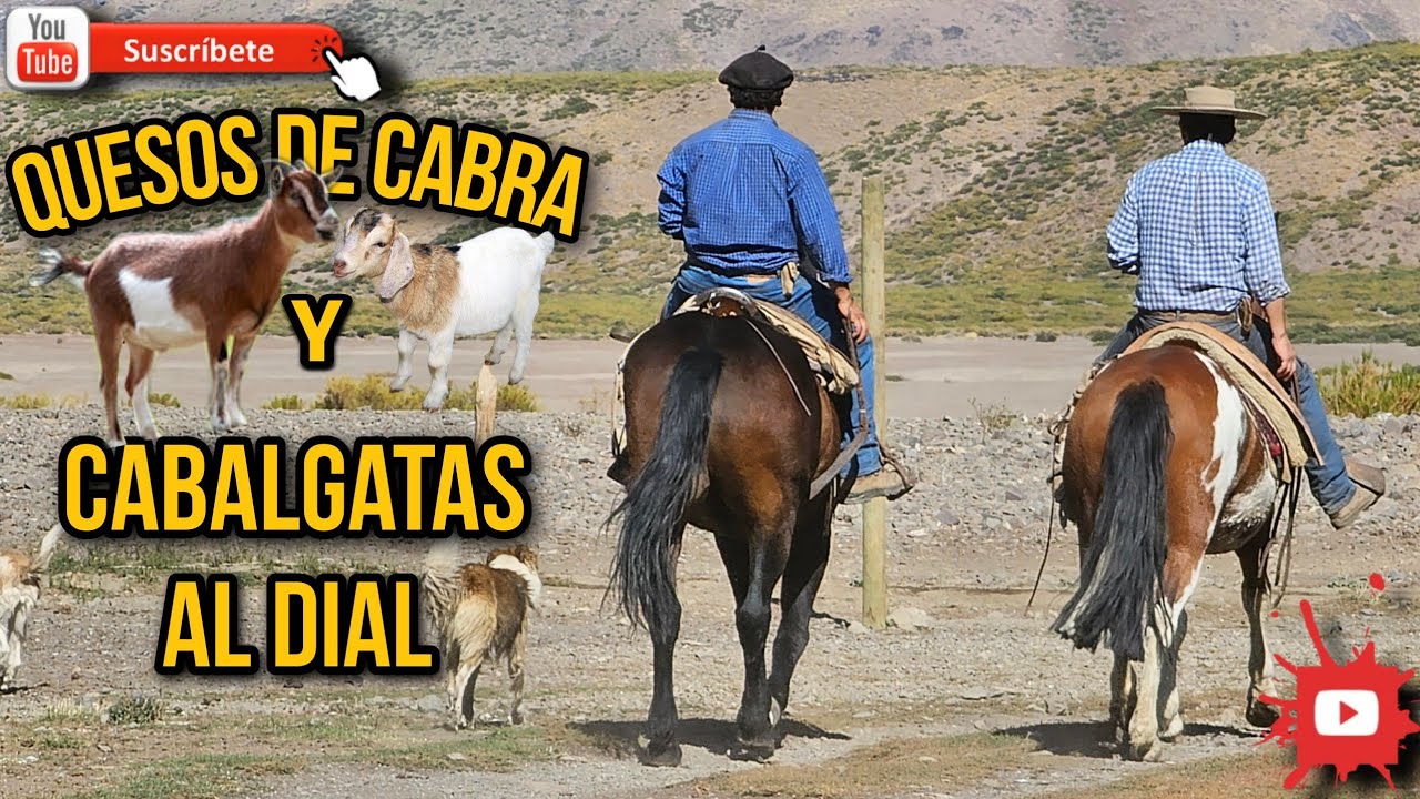 CABALGATA EL ARRIERO LAGUNA EL DIAL, QUESO LACEOS Y PESCA #caballos #cabras #regióndelmaule #campo