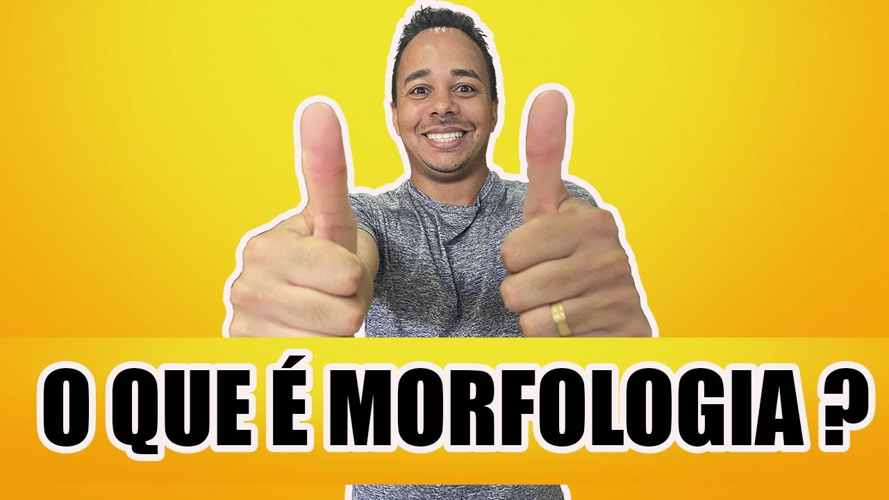 O QUE É MORFOLOGIA ?