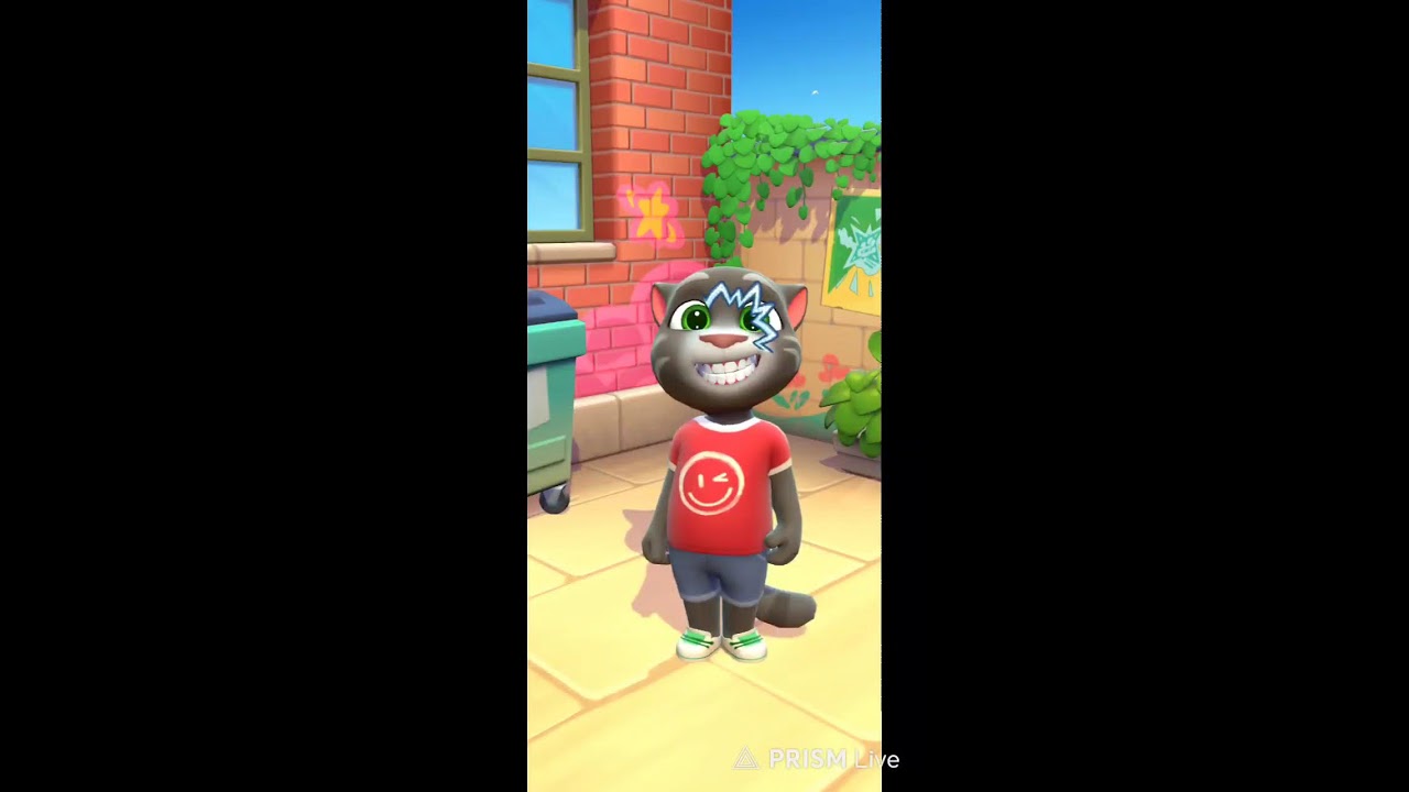 My talking Tom