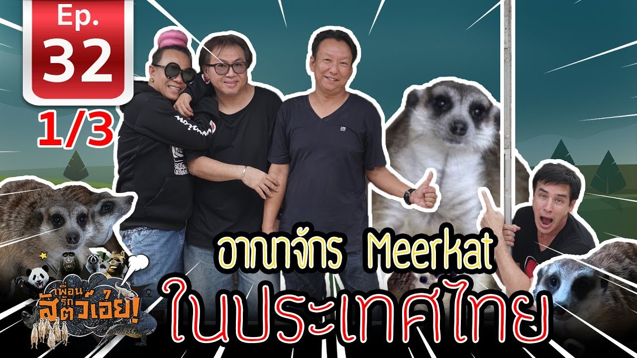 Meerkat Heaven in Thailand อาณาจักร Meerkat ในประเทศไทย - เพื่อนรักสัตว์เอ้ย l EP.32 [1/3]