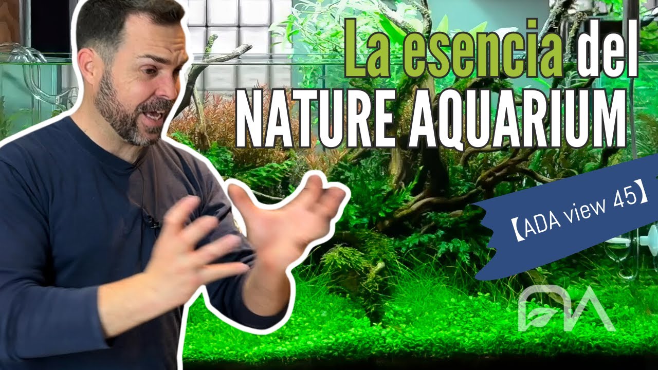 La esencia del NATURE AQUARIUM | Video reacción ADA view 45 ►