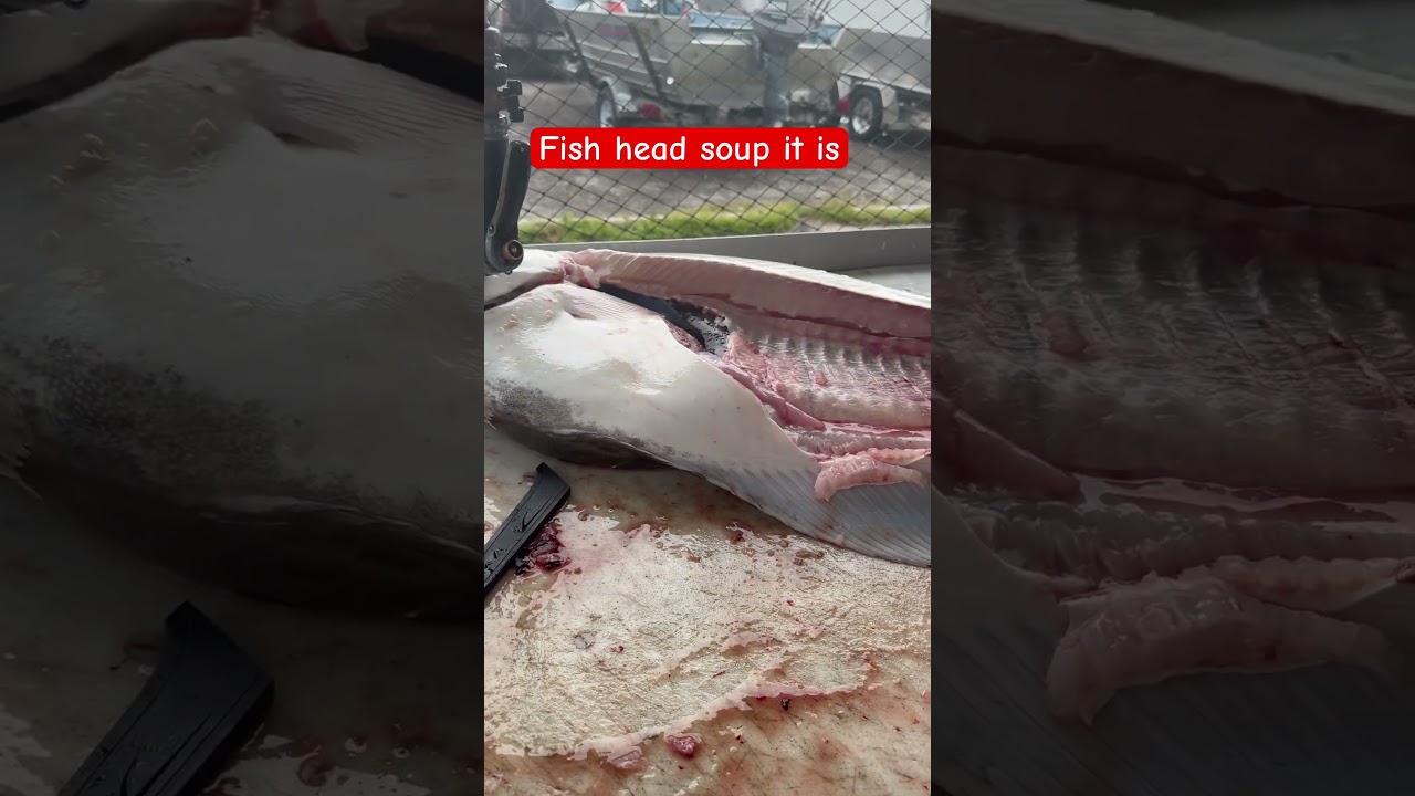 Halibut heads 
