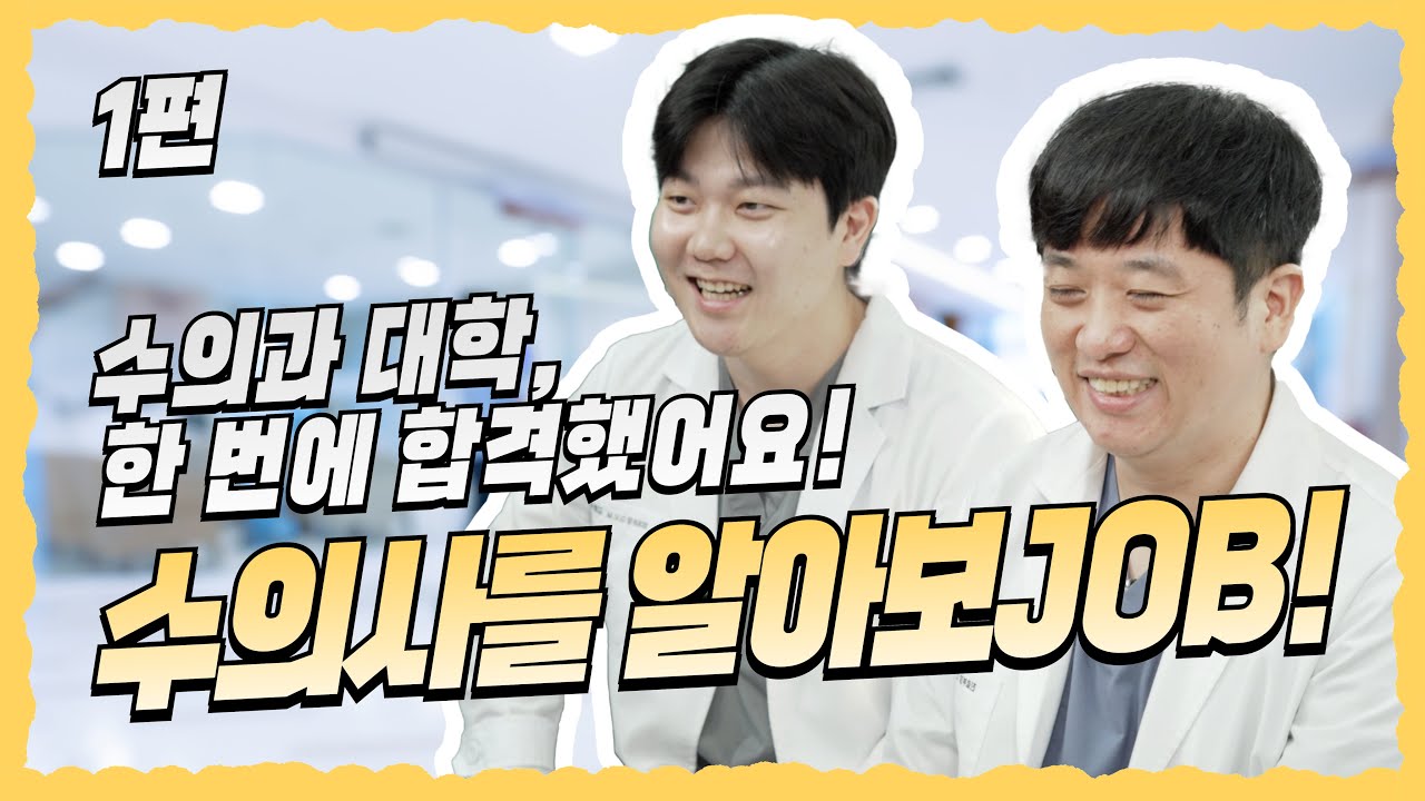 수의사에 대해 알아보JOB 1편!🩺 | 탑케어동물CARE백과