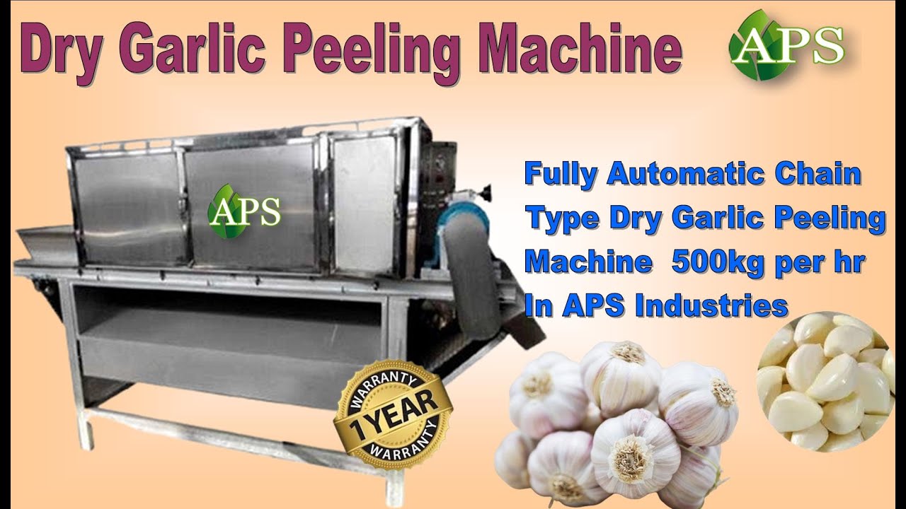 Chain Type Dry Garlic Peeling Machine Manufacturer From Ahmedabad