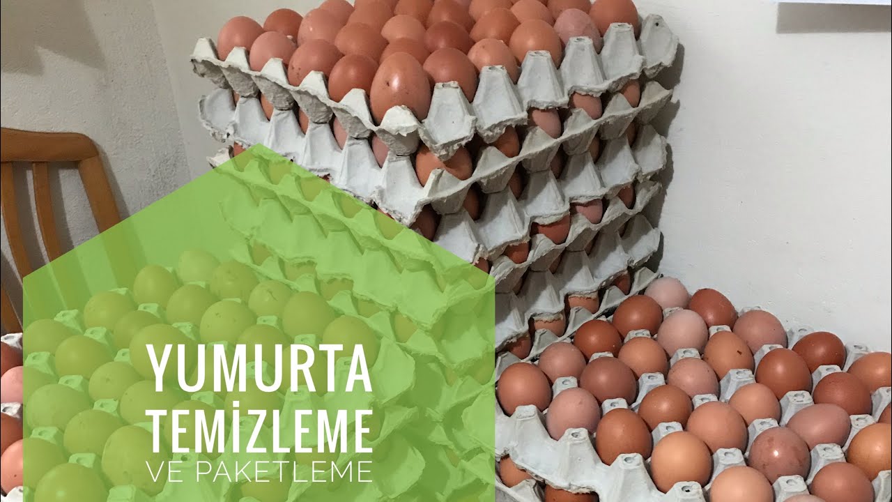 YUMURTA TEMİZLEME VE PAKETLEME