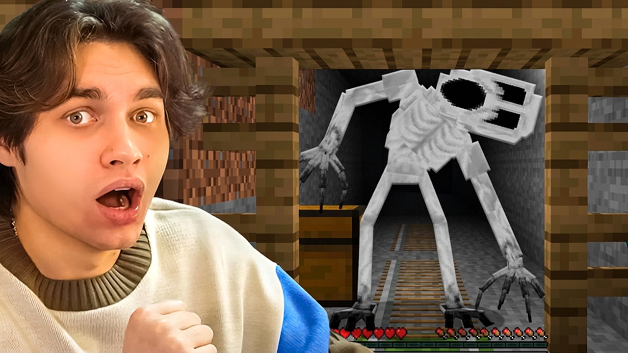 Ты идёшь в шахту и видишь это в майнкрафт...