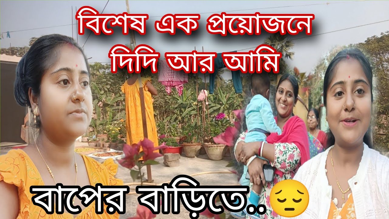 নিজেদের সংসার ফেলে রেখে ছুটলাম বাপের বাড়ি বিশেষ এক প্রয়োজন মেটাতে।।