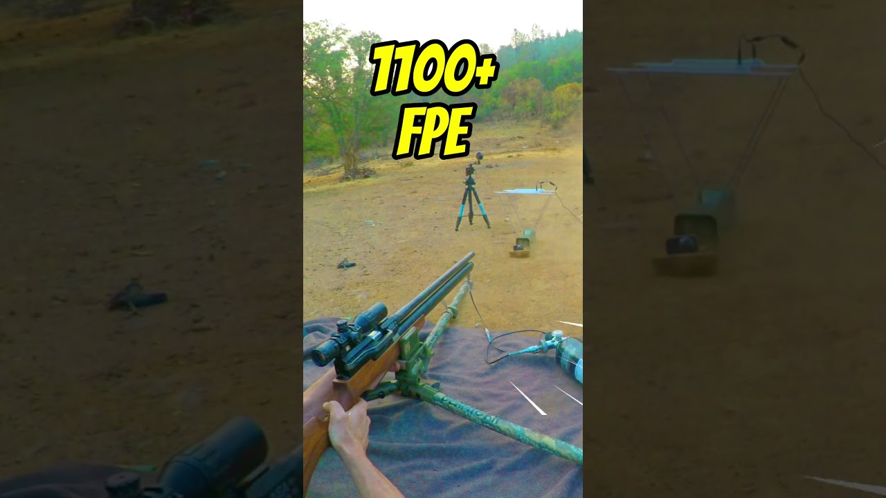 Pellet Gun For Hunting Grizzly Bear #shorts