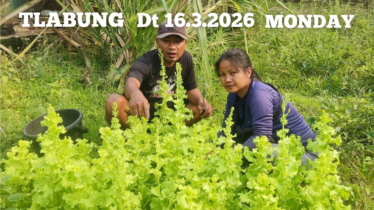 A changtunu nen huanah, Lettuce leh Anthurhmui kanla..
