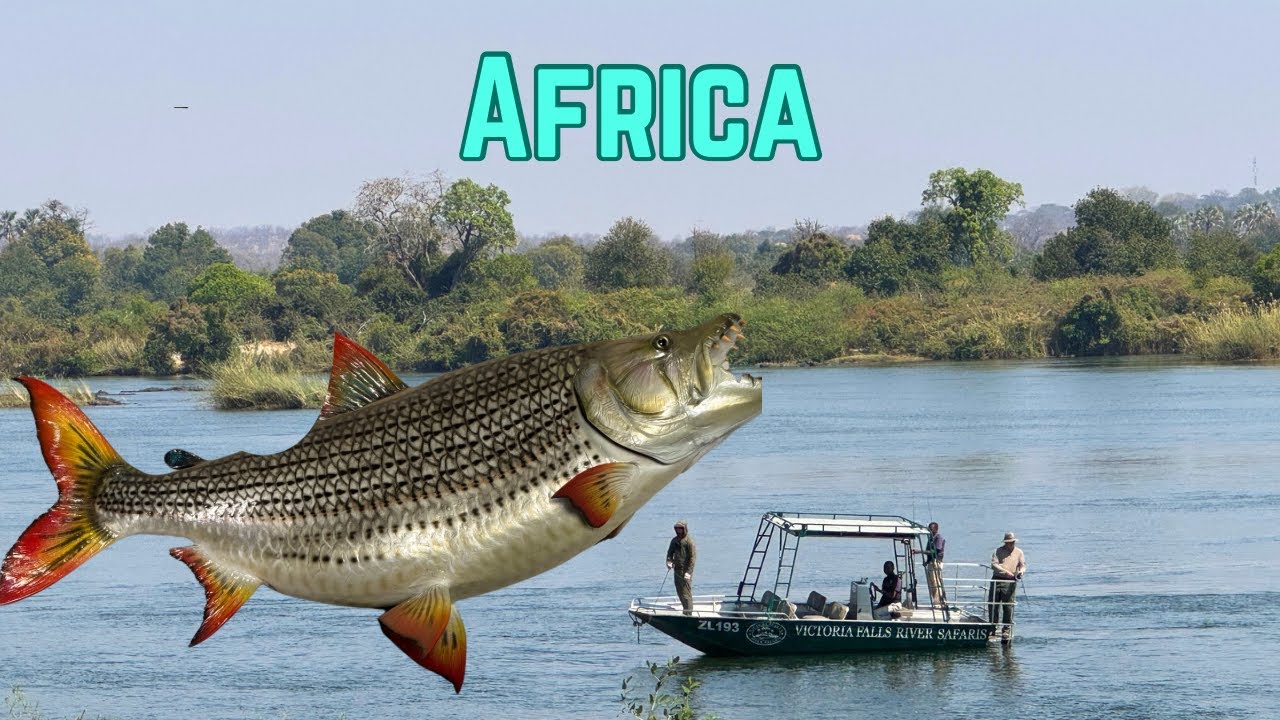 Africa - The Truth about Fly Fishing for Tigerfish