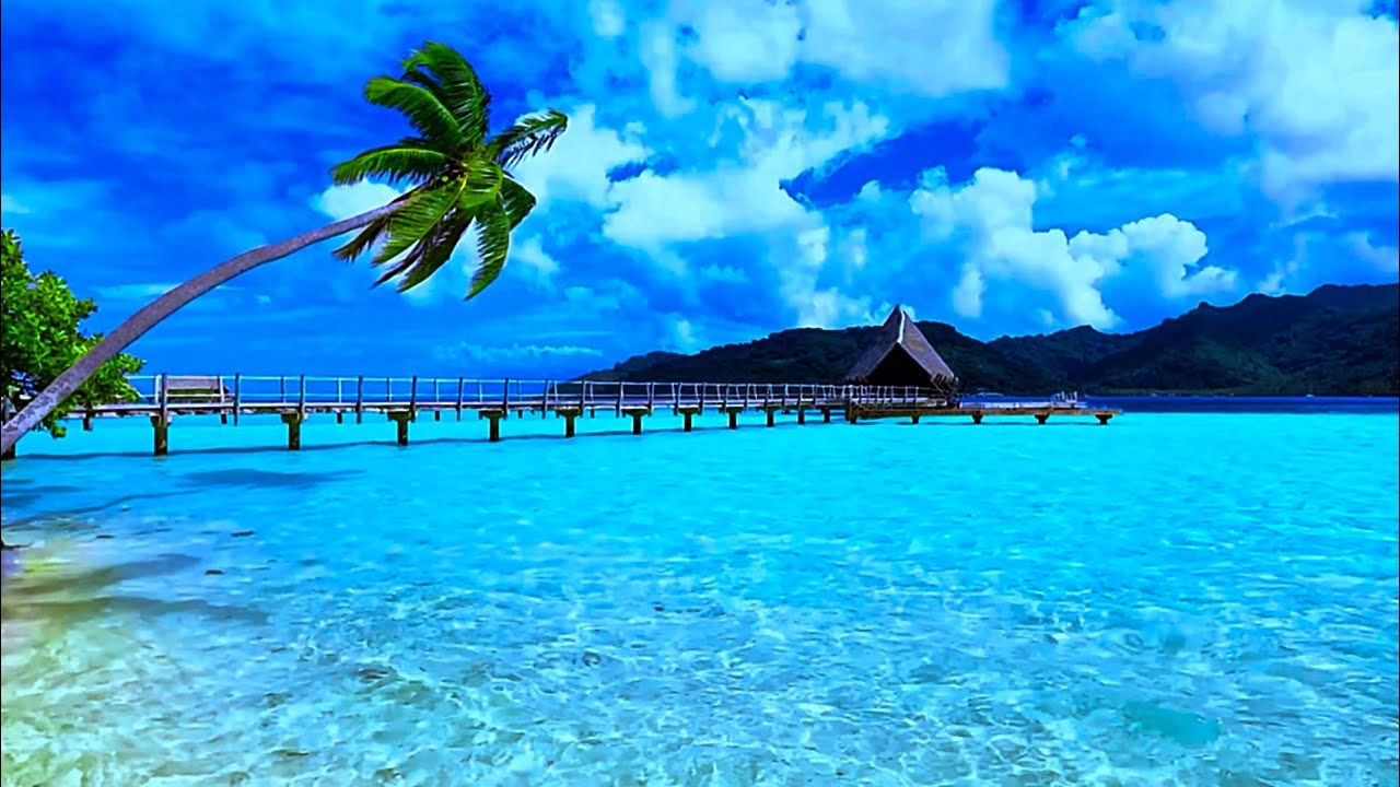     Tropical Paradise Ambience 🏝️ | Sleep Fast, Relax Deeply & Reduce Stress