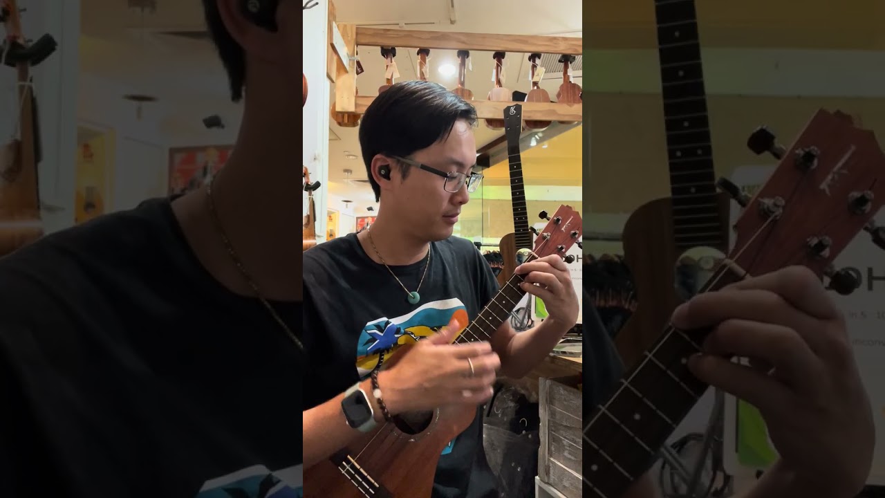Kamaka HB-3+ Semi-Custom Bell Tenor [UKULELE PUAPUA]  #ukulele #ukulelecover #music #cover