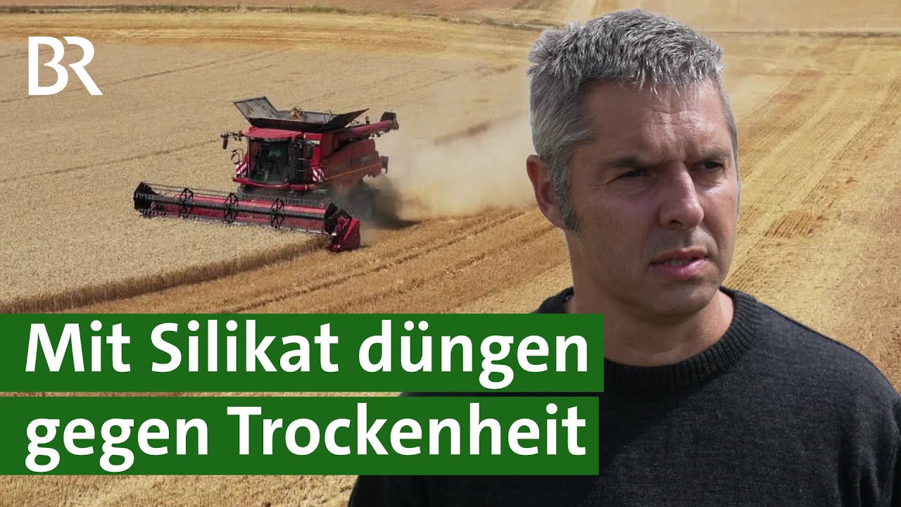 Feuchte B&ouml;den: Silikat-D&uuml;nger gegen D&uuml;rre, Trockenheit und Hitze? | Klimawandel | Unser Land | BR