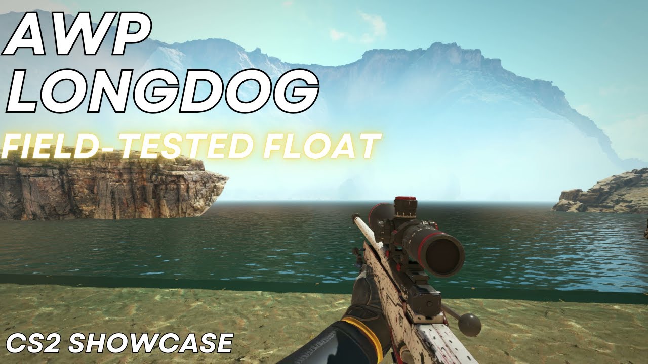 AWP Longdog (Field-Tested) | CS2 Skin Showcase #1613