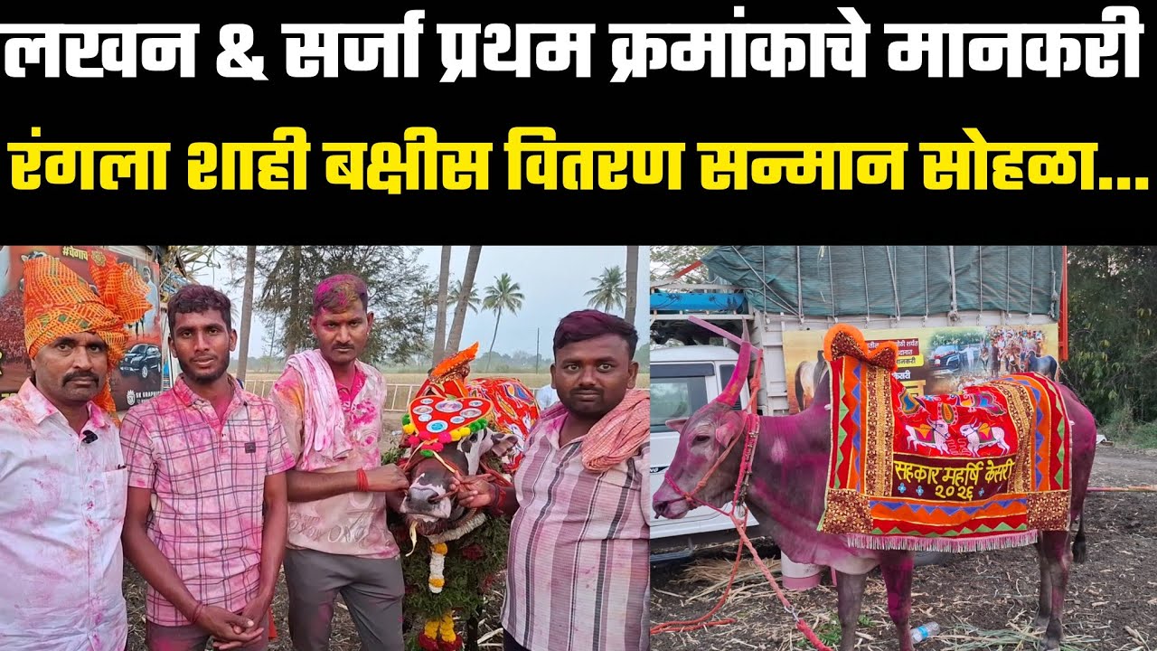 माय नेम इज लखन...!! सर्जा & लखन पुन्हा एकदा प्रथम क्रमांकाचे मानकरी..