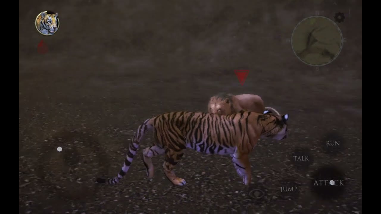 Ultimate Tiger / Tiger Vs Lion /  Who would win ??