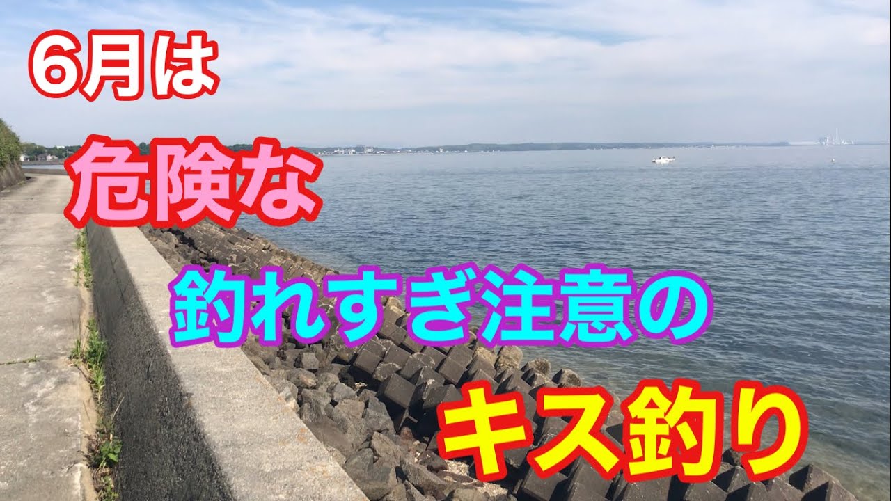 6月は危険な釣れすぎ注意のキス釣り 知多半島