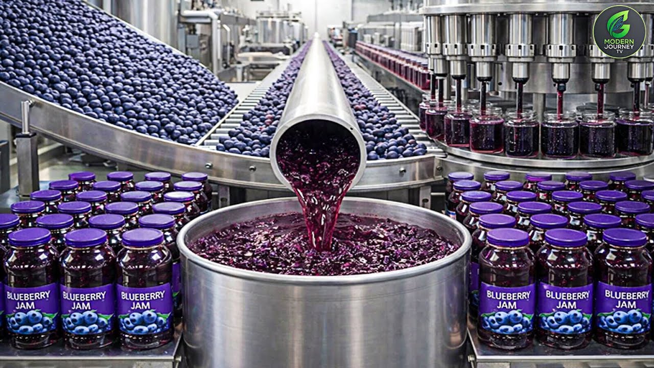 Inside a Modern Blueberry Jam Factory: How Blueberry Jam Is Made (Full Process)