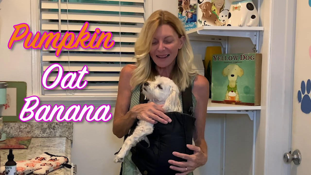 DIY HOMEMADE DOGfood & People Food! Pumpkin Oat Banana Treats~CHOWTIME  SE 1 EP 15 DogTreats