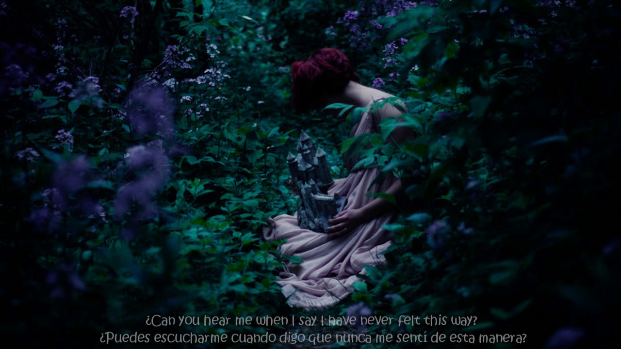 Birdy - Shelter Owsey Remix(Lyrics)(Sub Espa&ntilde;ol)