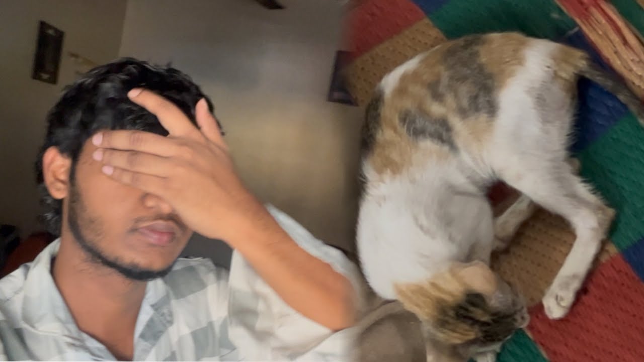Billi Thik Nahi… Ab Kya Hoga!? 😰