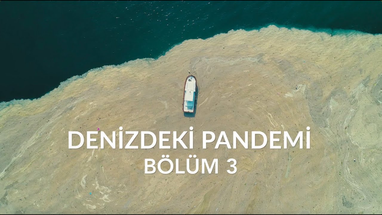 Marmara Denizi'nde yaşanan müsilaj sorununu yakından izle! 