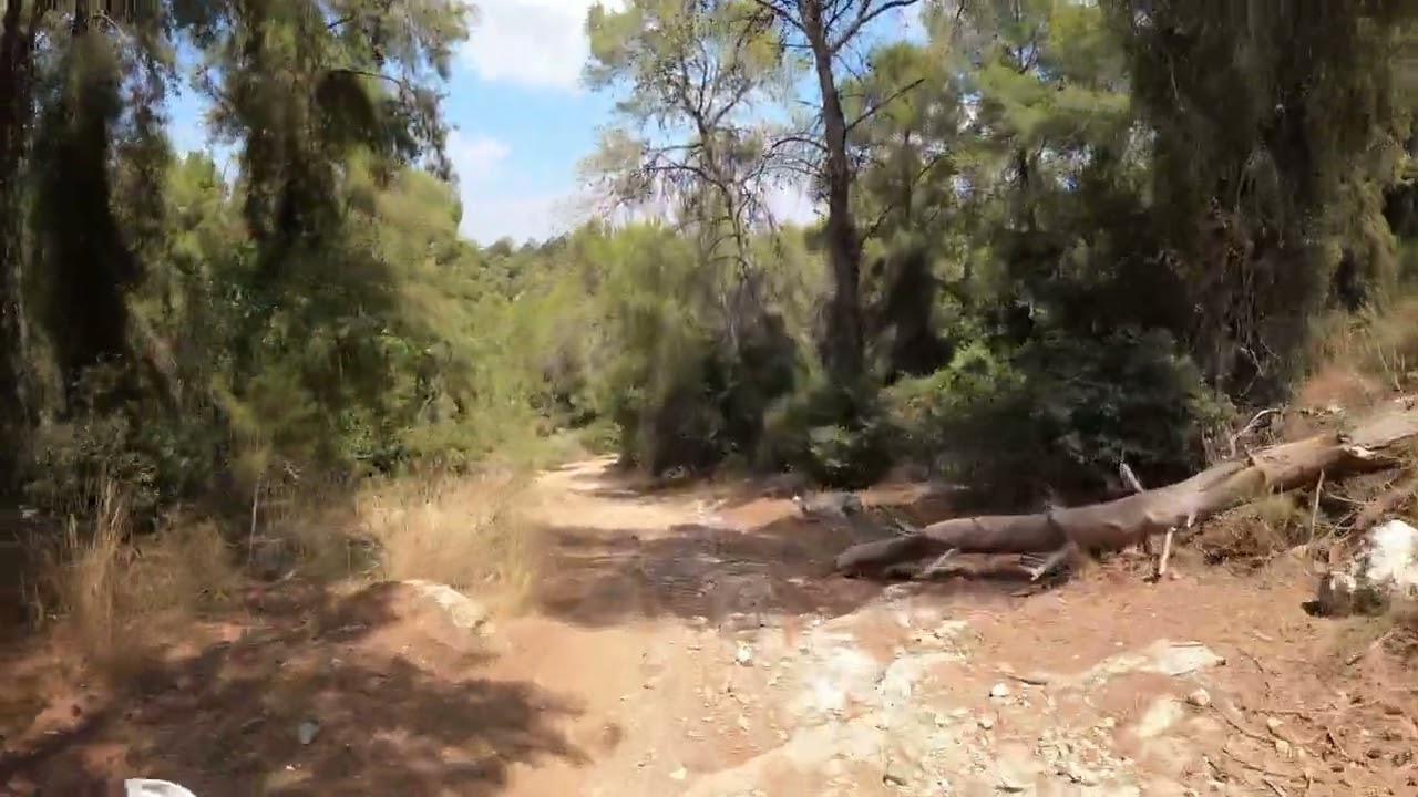 לטרון עם רועי פרק 15 מ 17: רכיבת אנדורו : רכיבת שטח : אופנועי שטח : דורון אביעד