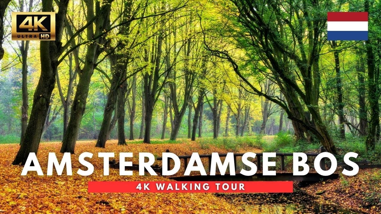 The Netherlands - 120 Minute Relaxing Walk in Amsterdamse Bos (4K)