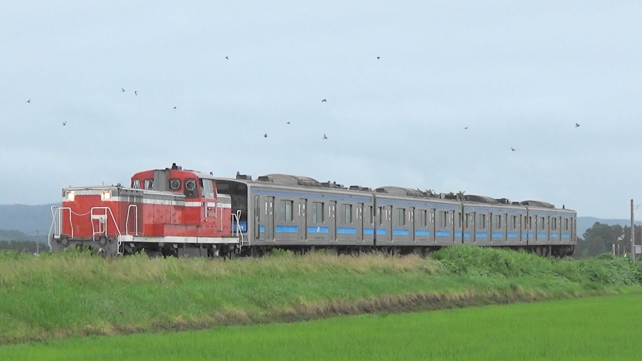 仙石線205系3100番台M19編成KY入場配給